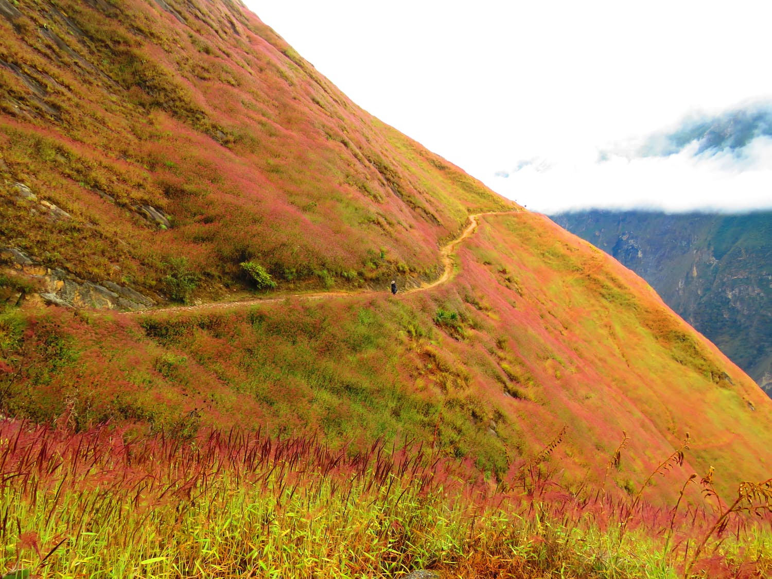 Hochandine Landschaft auf dem Trek von Choquequirao nach Machu Picchu